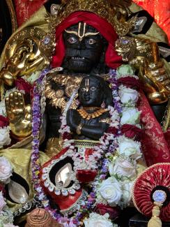 Sri Sri Prahlada Laksmi Narasimha Daily Darshan 